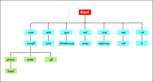 hierarchy